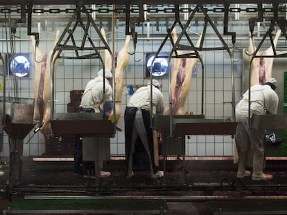Trabajadores en un matadero en España. 
