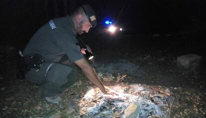 Un agent rural investiga el sòl d'un bosc.