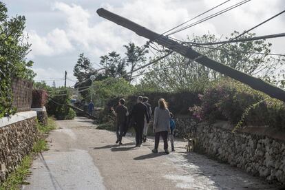 Postes de tendido eléctrico caídos en la zona de la urbanización La Argentina, municipio de Alaior en Menorca, tras el fuerte viento registrado.