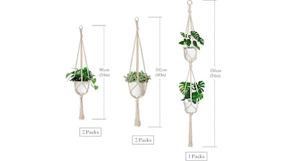 Hanging flower pots on white background