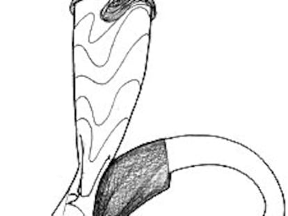 Caricatura de Etxeberria