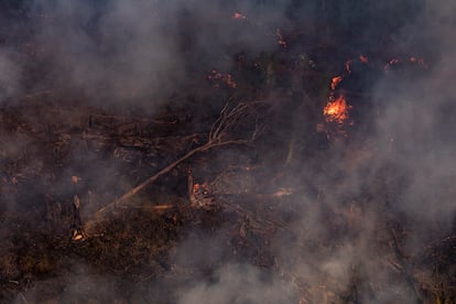 Aerial view of a large tree felled after a fire in the region of Porto Velho, in the state of Rondônia, during the dry period of the forest where fires occur for later implementation of cattle ranches.