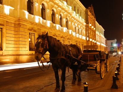 Un caballo frente al Centro Cultural Metropolitano de Quito.