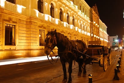 Un caballo frente al Centro Cultural Metropolitano de Quito.