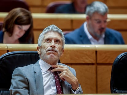 El ministro del Interior, Fernando Grande-Marlaska, en un pleno del Senado.