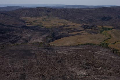 Duas semanas de fogo reduziram a cinzas o coração da Chapada dos Veadeiros: os responsáveis pelo Parque Nacional apontam para um incêndio intencional, mas até agora não foram encontradas provas