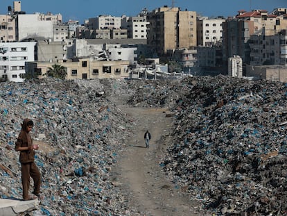 Israel impide la entrada a una periodista