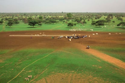 Imagen de un abrevadero en un terreno reverdecido en época de lluvias en la localidad de Widou, en el norte de Senegal.