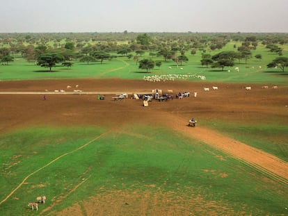 Imagen de un abrevadero en un terreno reverdecido en época de lluvias en la localidad de Widou, en el norte de Senegal.