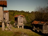 Un grupo de hórreos en la aldea de Paredes, en Leiro (Ourense).