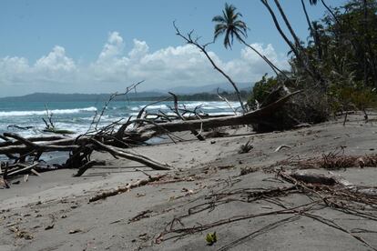 La costa de Cahuita, en el Caribe sur costarricense, ha perdido entre 30 y 50 metros (según el lugar) en las últimas cuatro décadas. La mayoría de ellos, en solo 10 años por culpa del cambio climático.