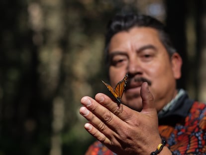 Juán Gomez González, hermano de Homero, sostiene una mariposa en El Rosario, Michoacán.
