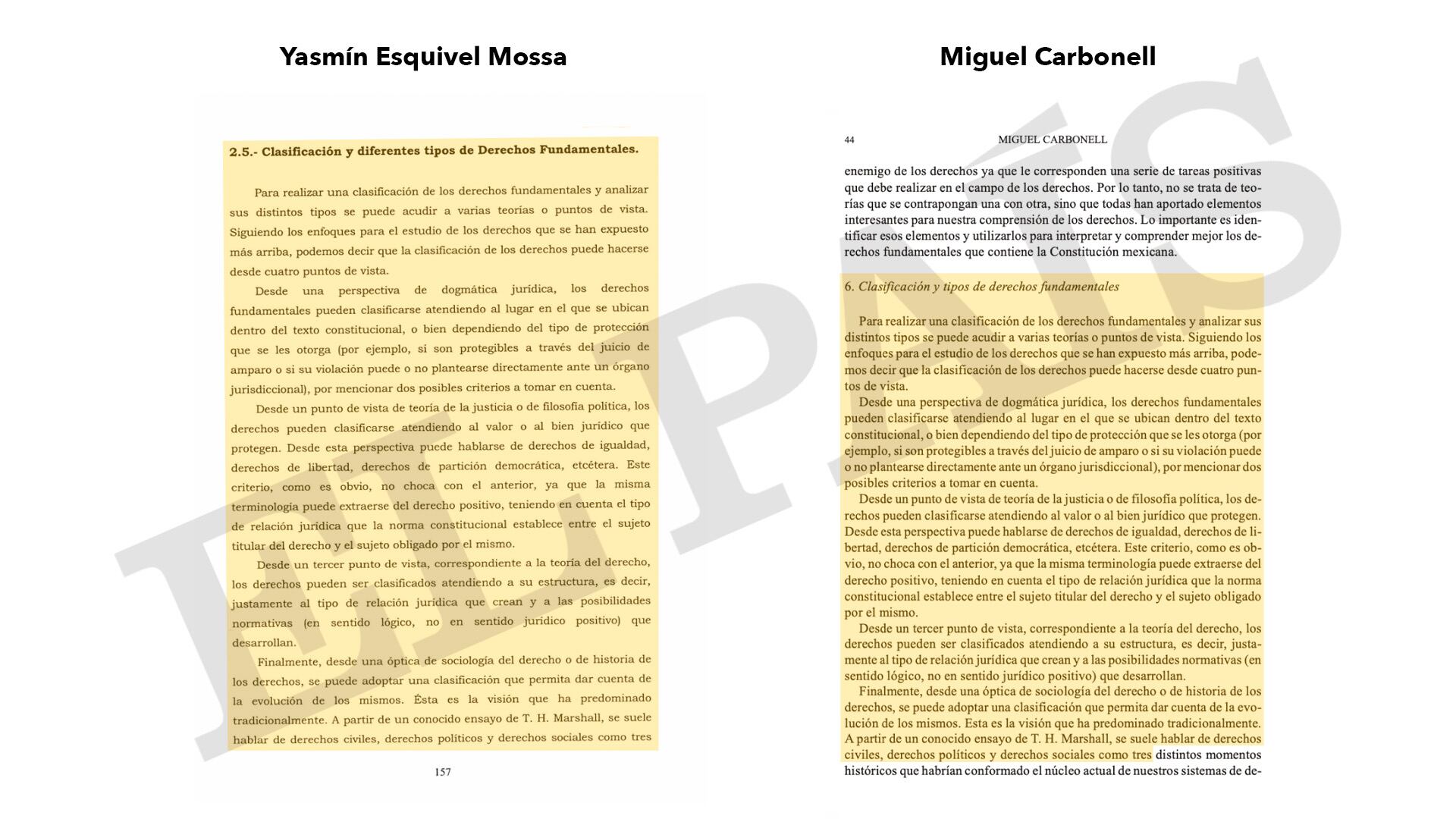 Del lado izquierdo, la tesis de la ministra; del lado derecho, una página del libro 'Los derechos fundamentales en México' del abogado mexicano Miguel Carbonell.