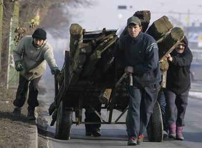 Húngaros recogen leña para paliar el frío por la falta de calefacción en las afueras de la ciudad de Miskolc, 180 kilómetros al este
de Budapest.