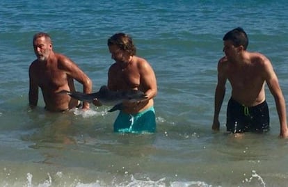 Beachgoers hold the dolphin stranded at Mojácar last week.