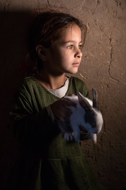 Fatima, de seis años, sostiene un conejo en las manos. Le encanta jugar con este animal y dice que quiere ir a la escuela como las demás niñas. En su visita de noviembre al asentamiento donde vive esta familia afgana, los investigadores de Too Young To Wed contaron 118 niñas que habían sido vendidas como novias infantiles, y 116 familias a la espera de 'compradores'. Esto supone el 40% de las familias encuestadas, a pesar de que los talibanes decretaron a finales del año 2021 que las mujeres no debían ser consideradas "propiedad" y tenían que consentir el matrimonio. Según datos de Unicef de ese mismo año, el 28% de las afganas entre 15 y 49 años se habían casado antes de los 18.  