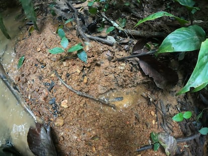 Una huella encontrada por el Ejército colombiano en la selva mientras buscaba el jueves a los niños.