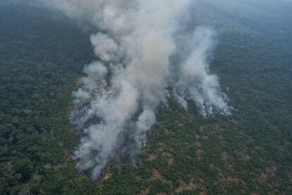 A Nasa lembra que os incêndios na bacia amazônica são muito raros no resto do ano, mas seu número aumenta a partir de julho, durante a estação seca, quando muitas pessoas usam o fogo para manter suas lavouras ou limpar a terra para pastagens ou outros fins. Os incêndios geralmente atingem o pico em setembro e desaparecem em novembro. Na foto, colunas de fumaça de um dos incêndios perto de Porto Velho, no dia 23 de agosto.