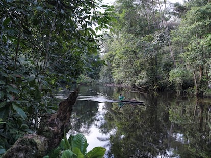 La selva amazónica en Murutinga, una comunidad cerca de Mitú, la capital del Vaupés.