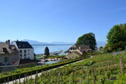 El lago, visto desde el camino que lleva al castillo de Nyon.