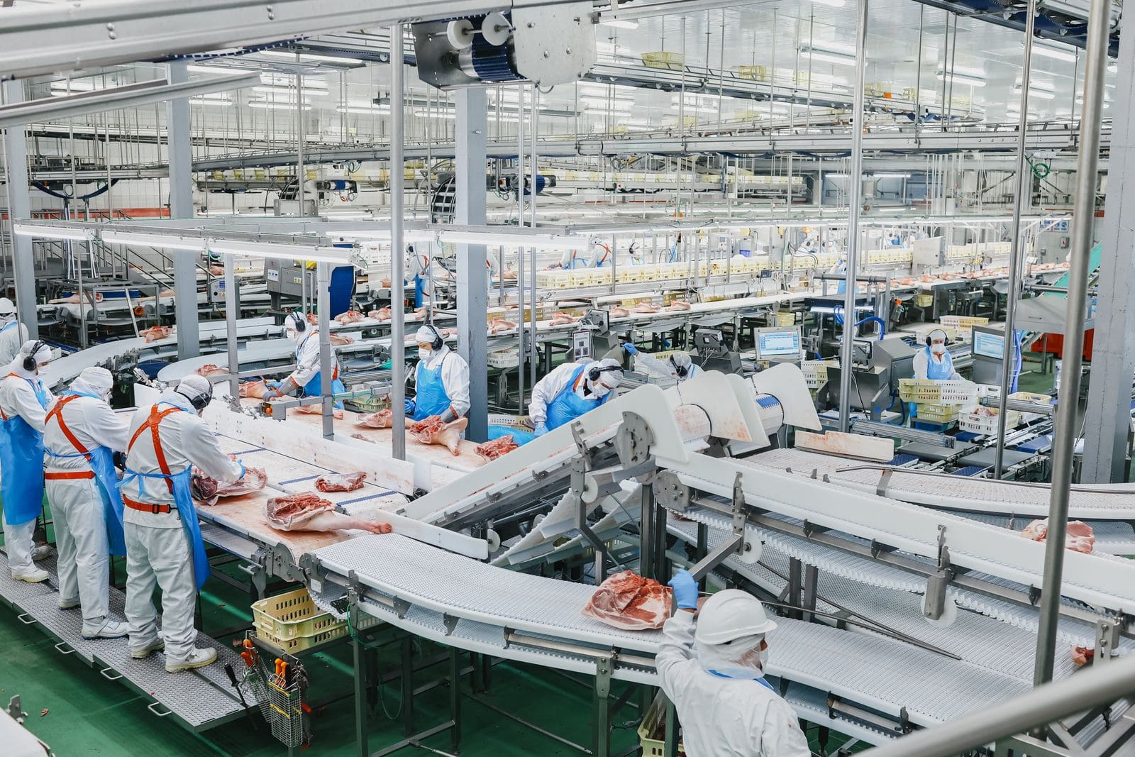 Incarlopsa, el gran proveedor de jamón de Mercadona, logra su mayor beneficio en cinco años