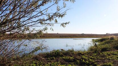 Tablas Daimiel.