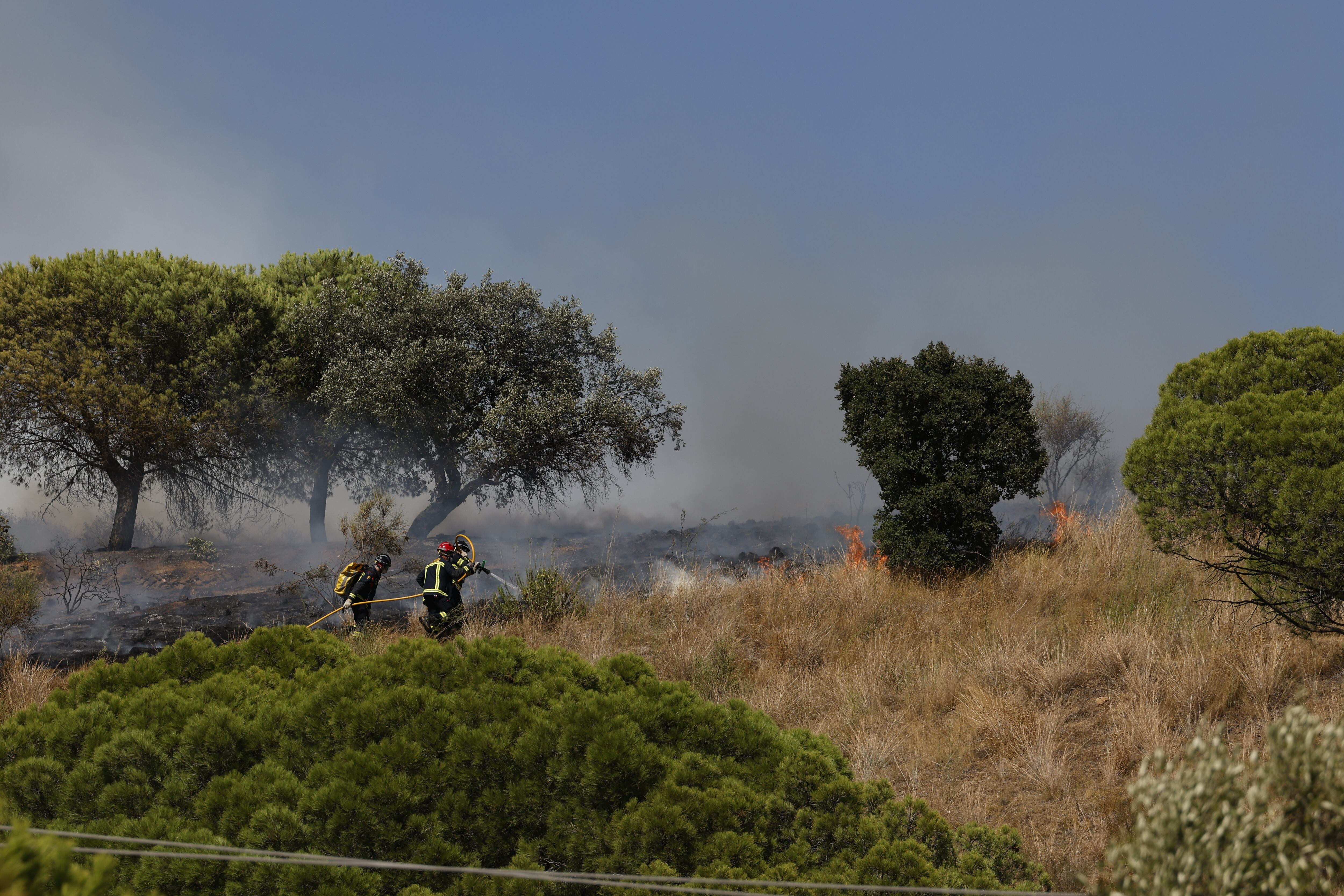 El incendio del parque natural de Collserola obliga a confinar dos barrios de Barcelona