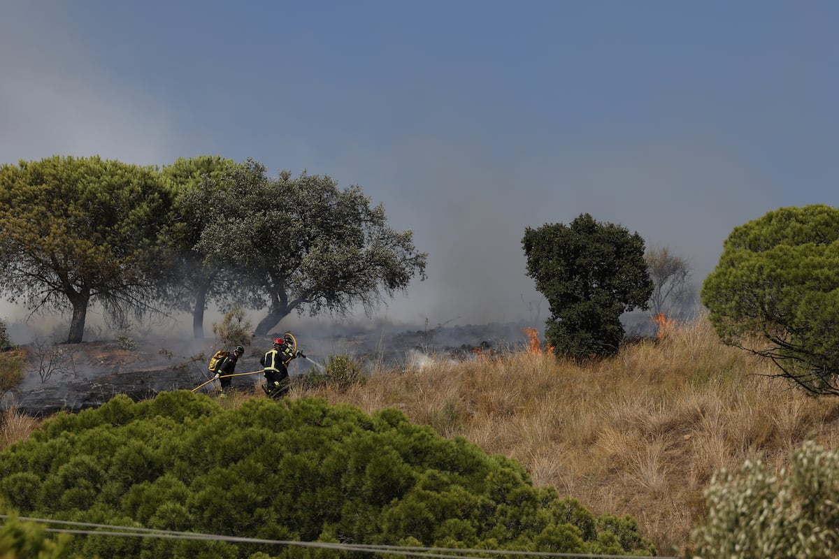 El incendio del parque natural de Collserola obliga a desalojar parte de los vecinos de Torre Baró en Barcelona