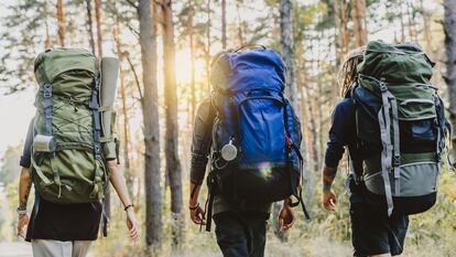 Cuentan con una gran capacidad para guardar equipaje y útiles de montaña. GETTY IMAGES.