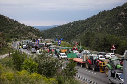 Un gran número de tractores cortan la AP-7 a la altura de Le Perthus. Mas de 500 manifestantes se han unido a los agricultores franceses.