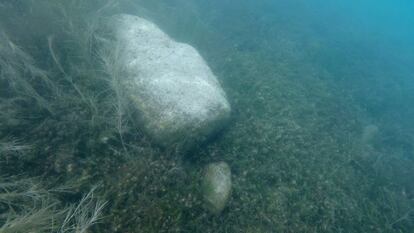 En las inmersiones de buceo, los expertos han constatado que las barreras biológicas naturales, como vegetación subacuática, han evitado que el color se extienda a todo el agua.