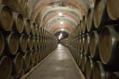 Barricas de vino en una bodega espa&ntilde;ola.