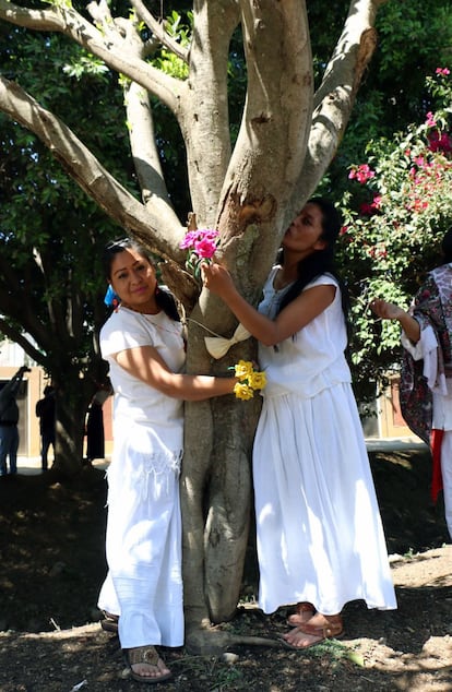 El propio Torres ofició la ceremonia. "Si alguien se opone a esta boda, que hable ahora o calle para siempre. En nombre de dios, de la Madre Tierra y del Amazonas, los declaró esposos y esposas, y compañeros de vida para siempre", dijo.