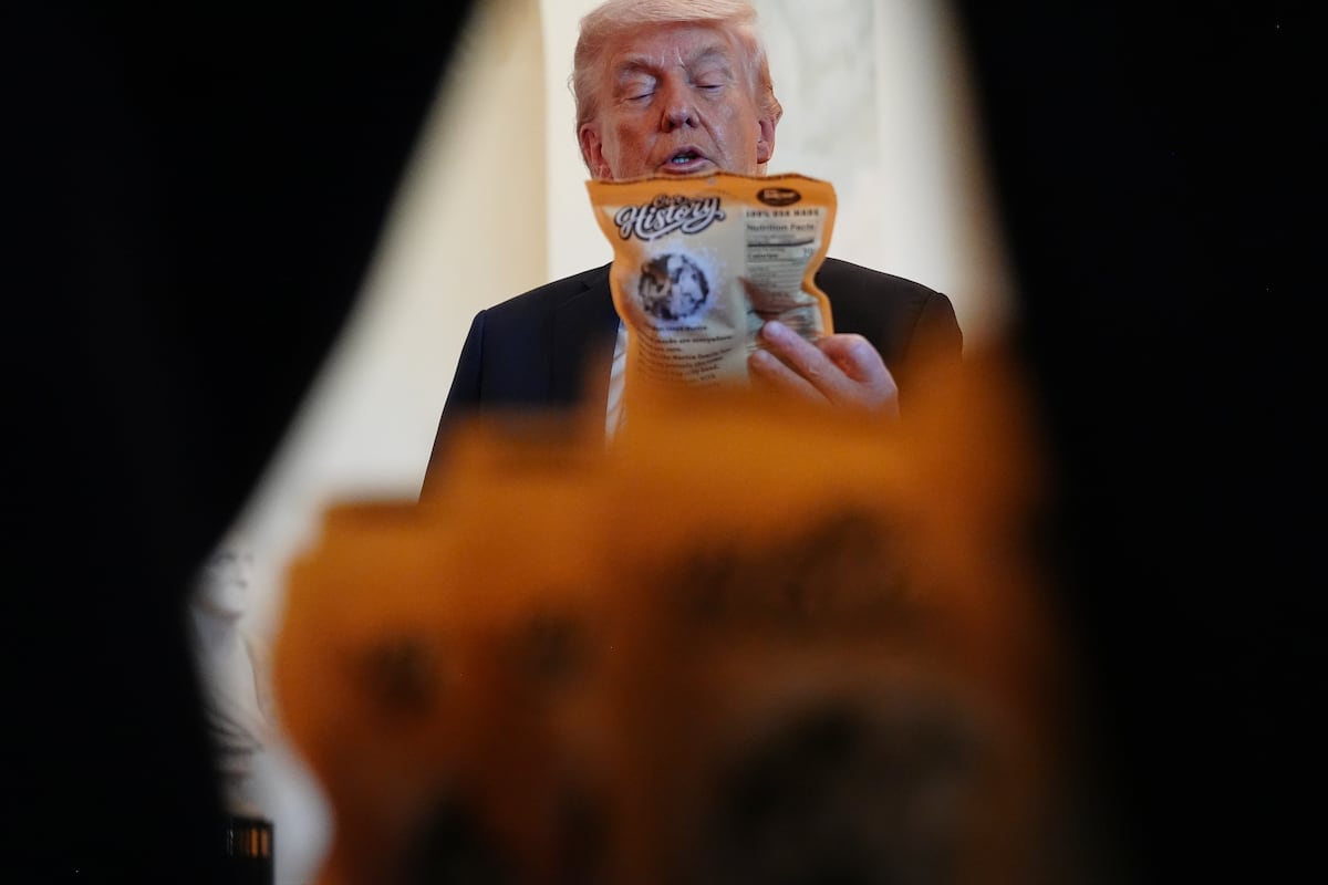 TikTok helped Trump win the 2024 election as the platform's future in the US hung in the balance