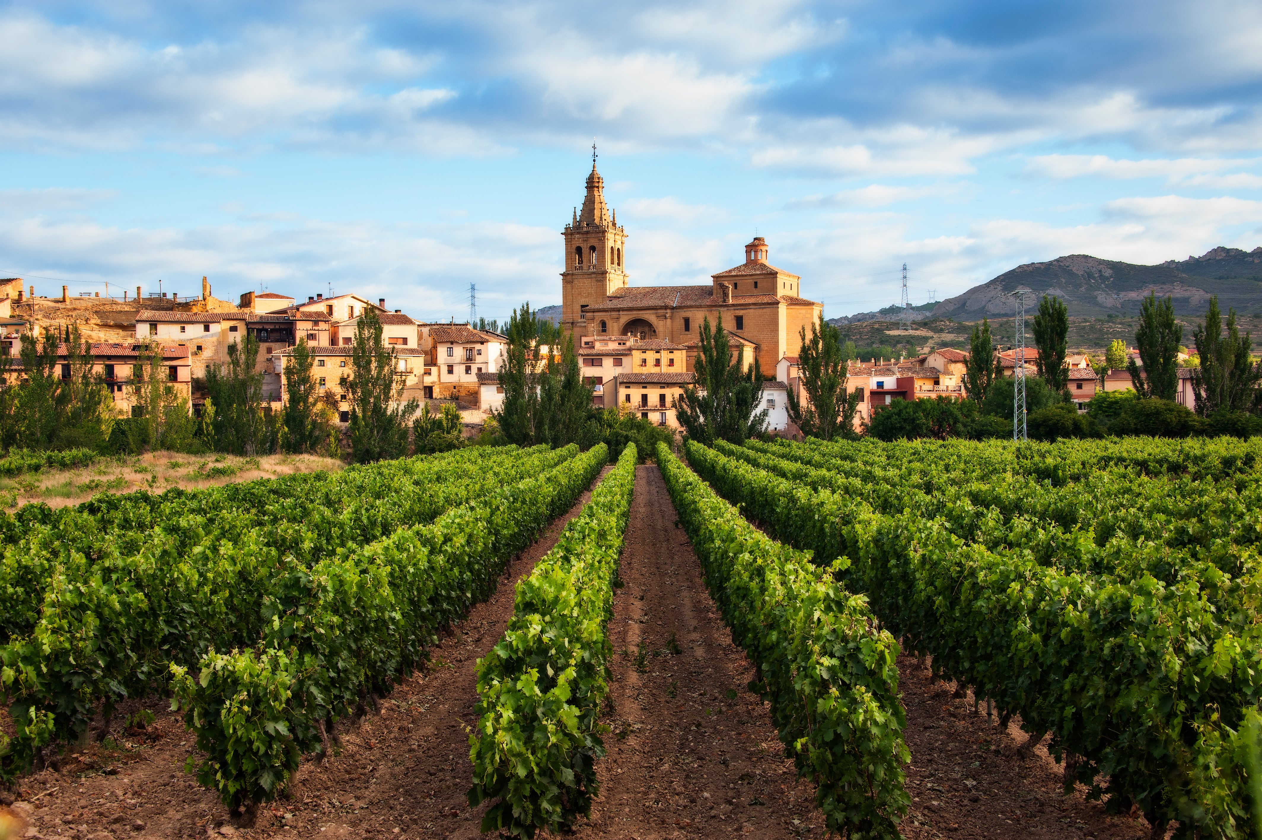 Siete hoteles con encanto para disfrutar del enoturismo en La Rioja