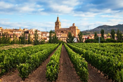 Viñedo y pueblo de Briñas en la comarca de Haro, en La Rioja.