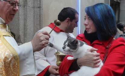 También algunos dueños de gatos se han acercado a la iglesia de San Antón.