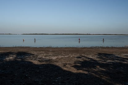 Rastreadores buscando metales en la Laguna de Lobos.