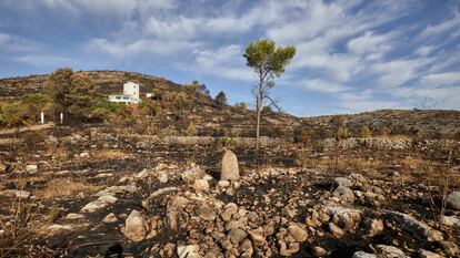 Zona de la Vall d'Ebo, en Alicante, afectada por los incendios de este verano.
