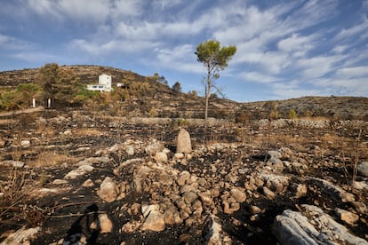 Zona de la Vall d'Ebo, en Alicante, afectada por los incendios de este verano.