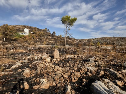 Zona de la Vall d'Ebo, en Alicante, afectada por los incendios de este verano.