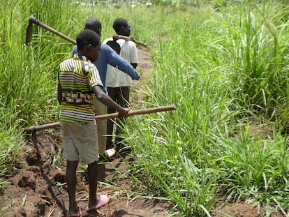 Trabajo infantil campo refugiados Uganda