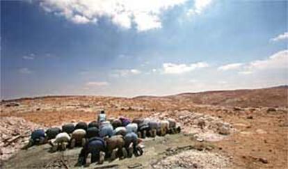 Musulmanes palestinos, rezando sobre una base de cemento edificada ayer por colonos israelíes cerca de Hebrón.