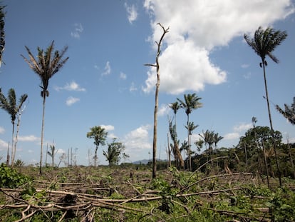 Una zona deforestada en el Departamento de Guaviare, en noviembre de 2021.