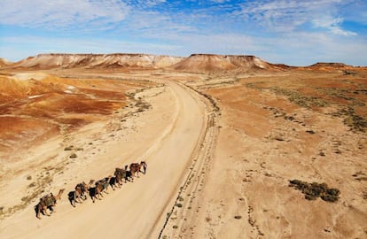 Caminando en por el Parque de Conservación Breakaway, al norte de Coober Pedy.