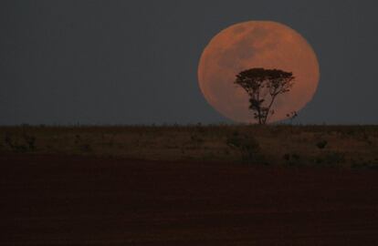 En una llanura de Brasilia, Brasil.