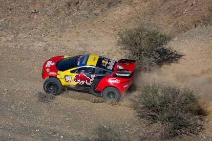 Sainz Loeb