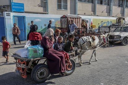 Un grupo de palestinos busca refugio en el sur de la franja de Gaza este domingo.
