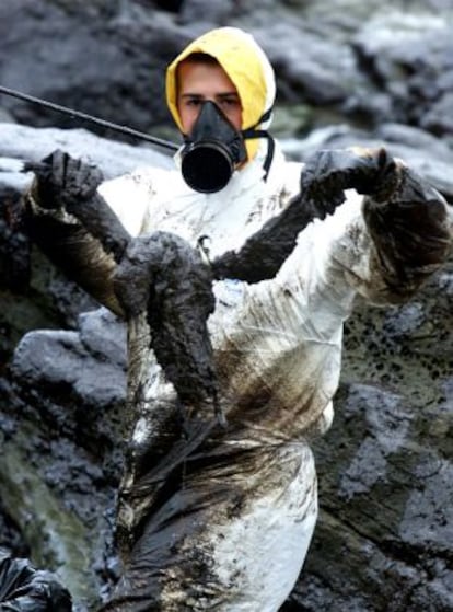 Un voluntario muestra un p&aacute;jaro lleno de alquitr&aacute;n.