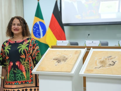 La ministra de Ciencia brasileña, Luciana Santos, posa junto al 'Ubirajara jubatus', el lunes 12 de junio.